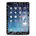 iPad Air Displayglas und Touchscreen Reparatur - Schwarz